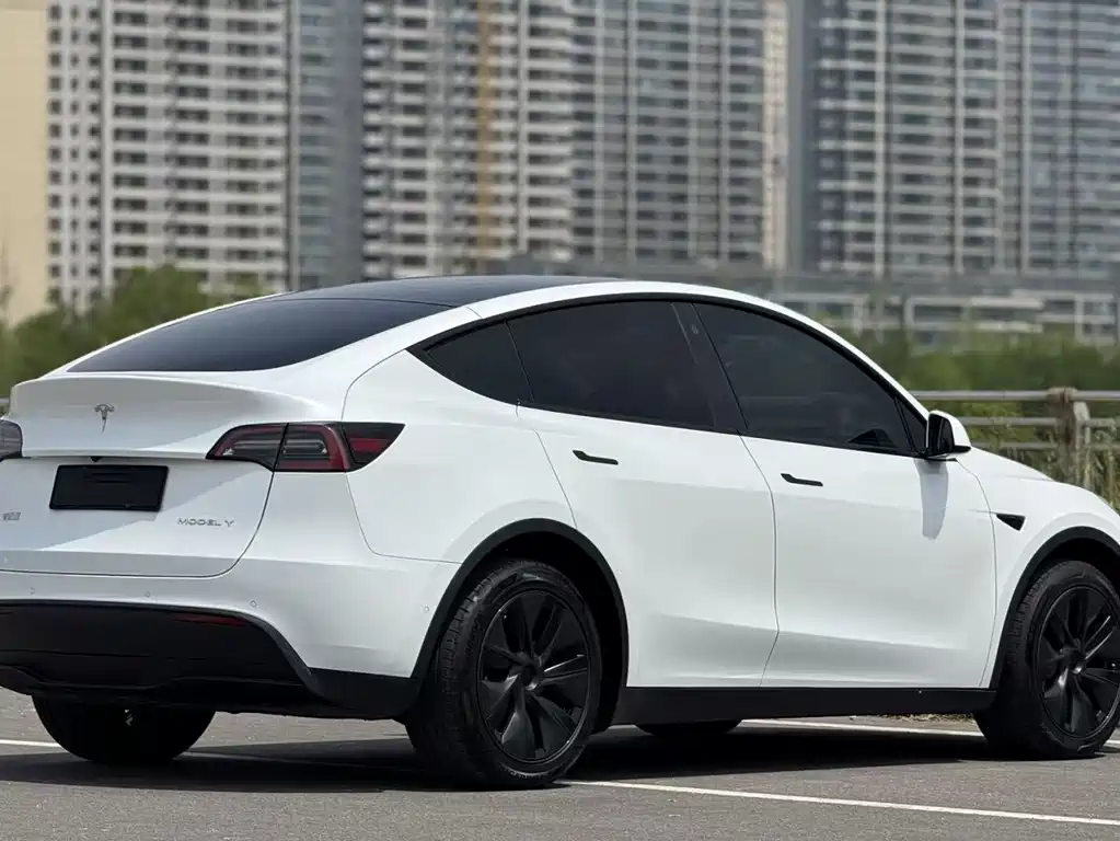 Tesla Model Y — миниатюра 3