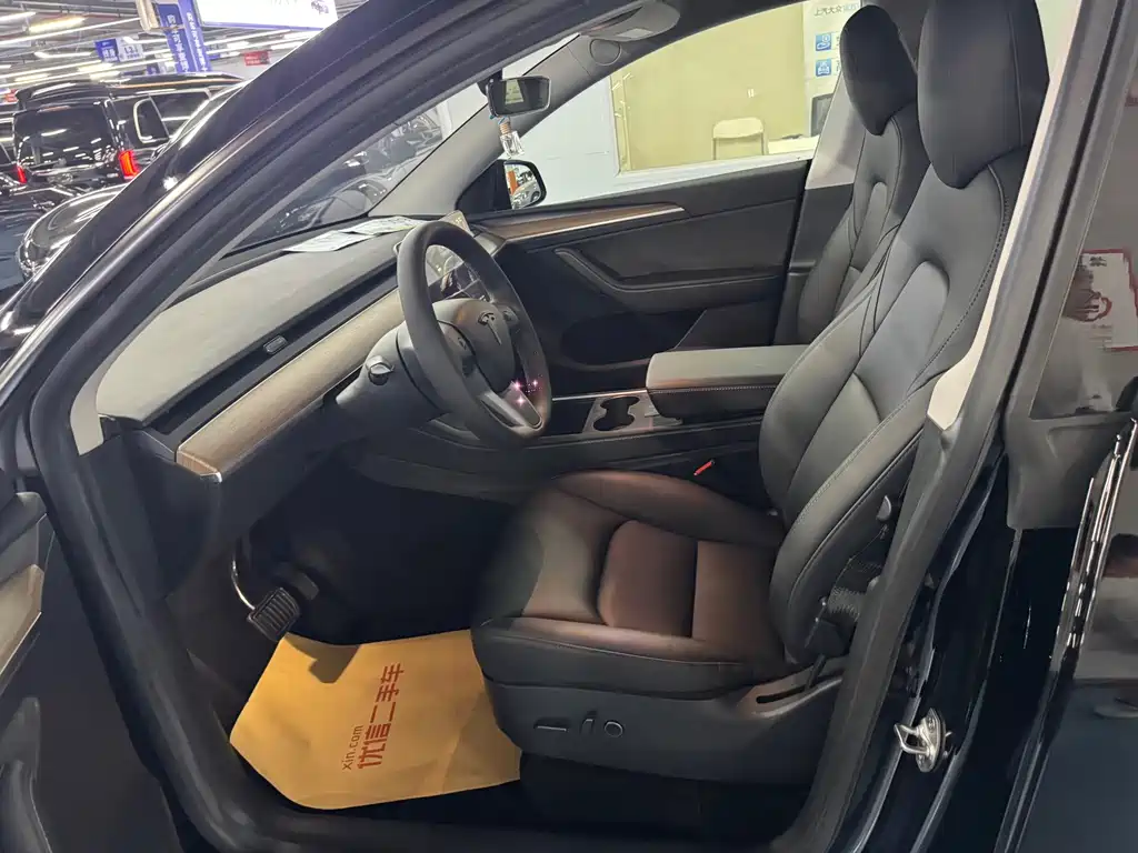 Tesla Model Y — миниатюра 5