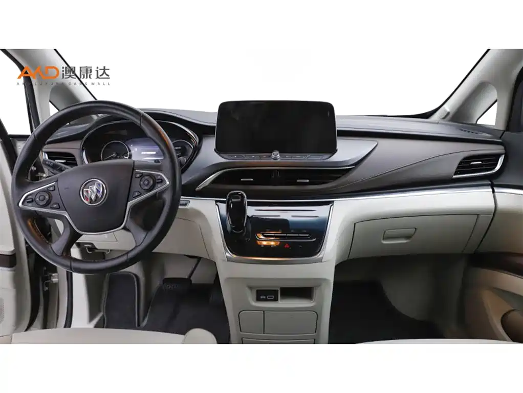 Buick GL8 — миниатюра 5