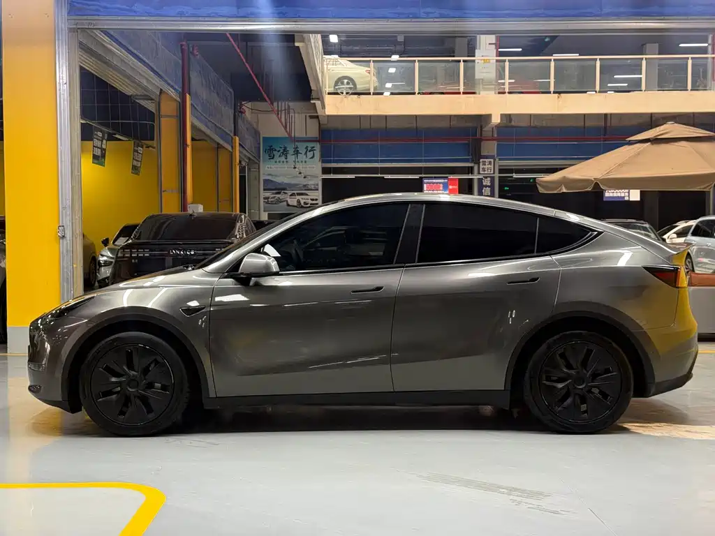 Tesla Model Y — миниатюра 4