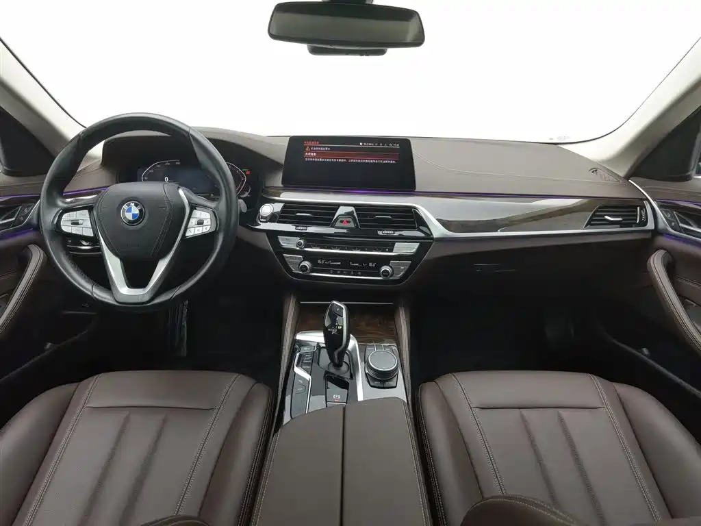 BMW 5 Series 5 2020 525Li Luxury