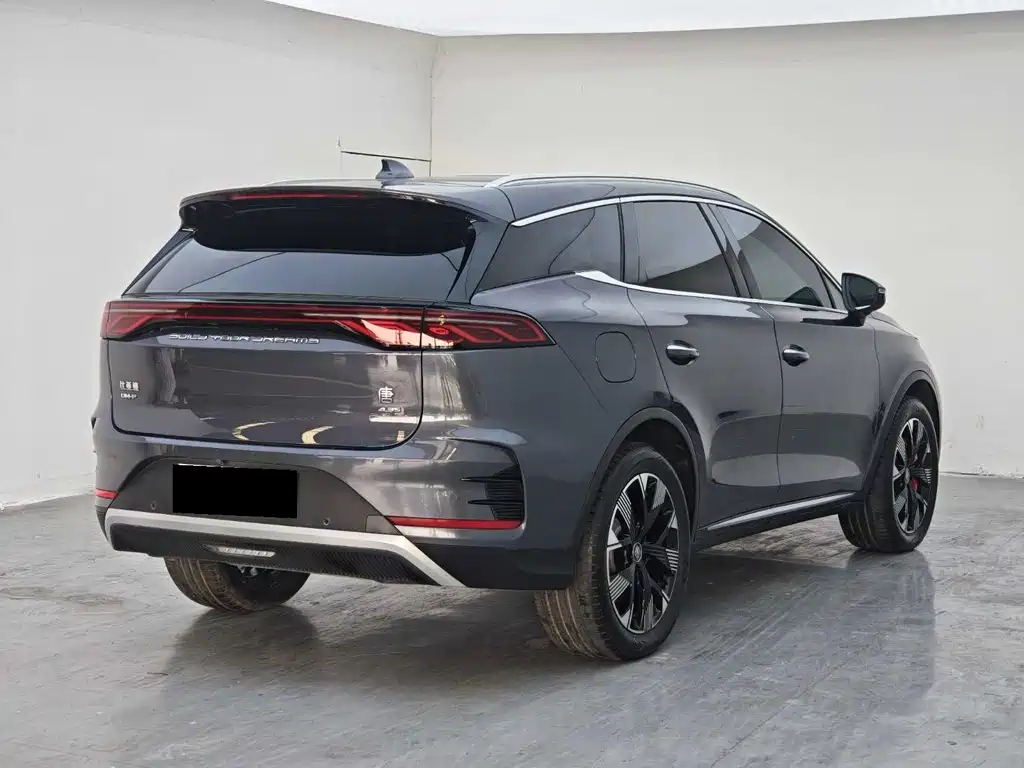 BYD Tang New Energy — миниатюра 9