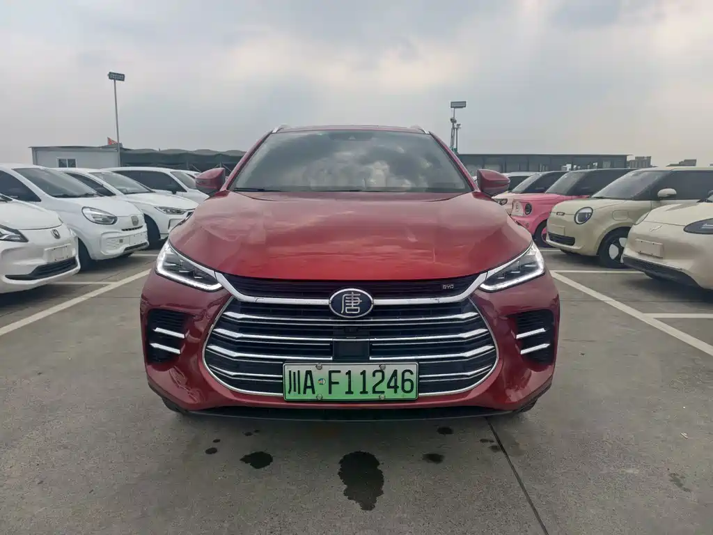 BYD Tang New Energy — миниатюра 2