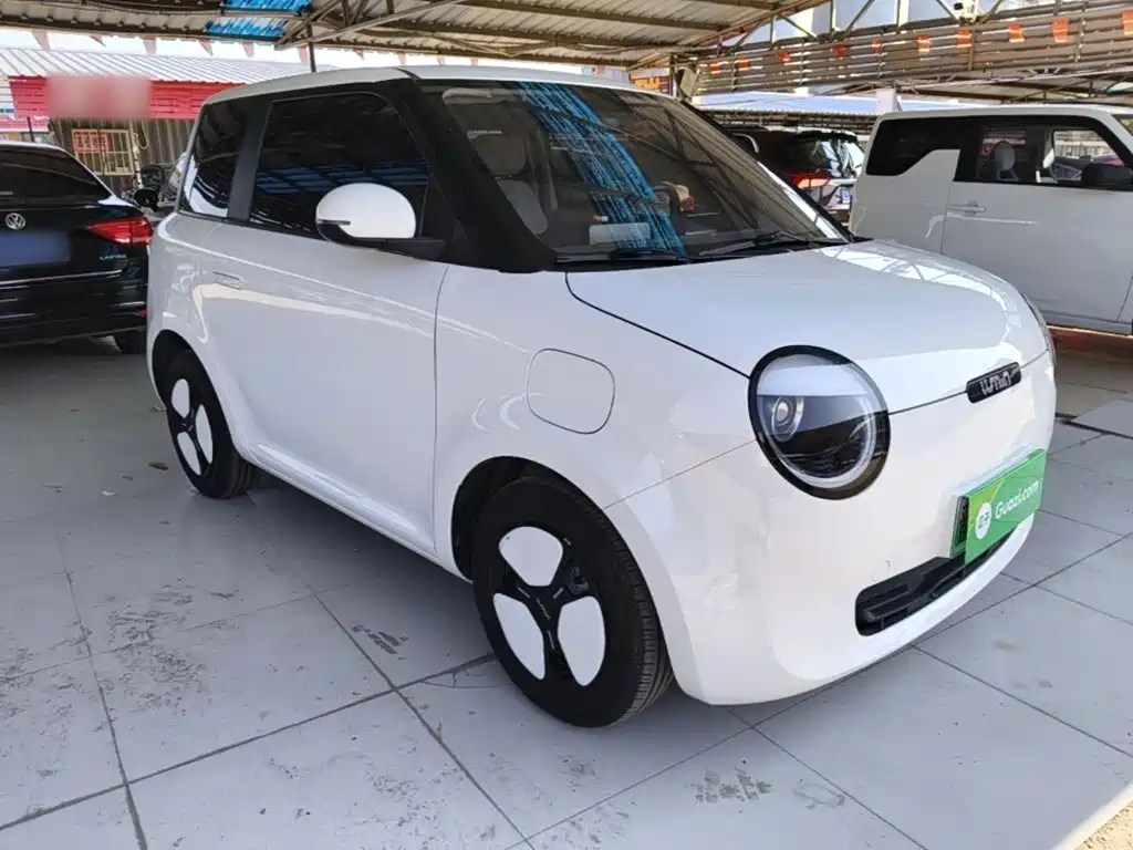 Qiyuan Lumin — миниатюра 4