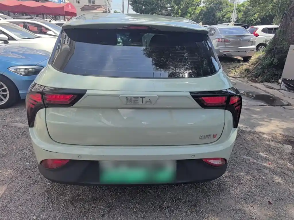 Neta Neta V — миниатюра 6