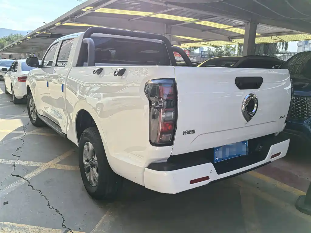 Great Wall Pao — миниатюра 4