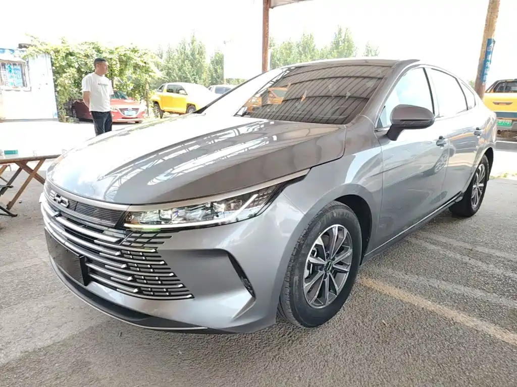 BYD Destroyer 05 2024 DM-i 55KM Luxury