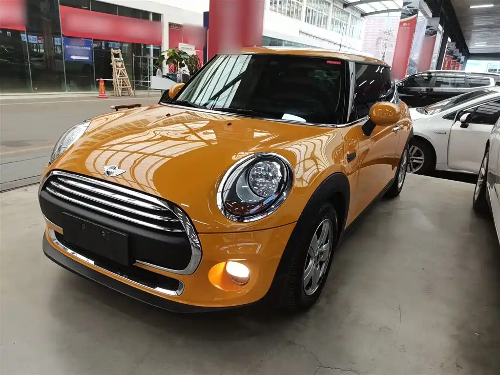 Mini Mini 2015