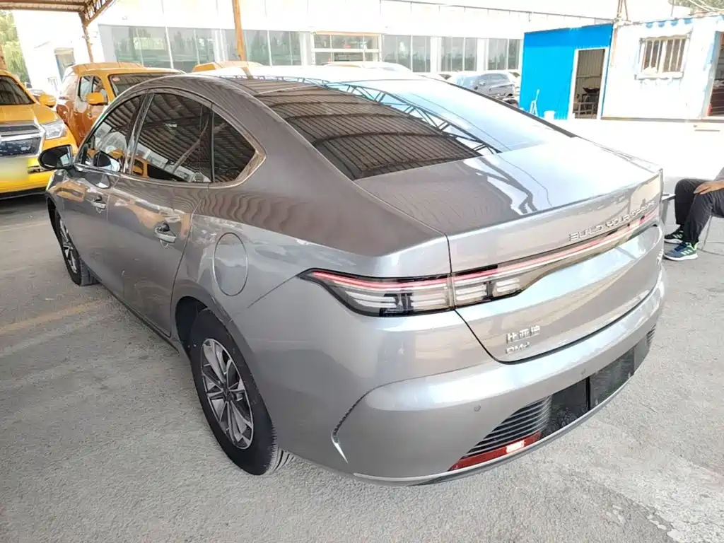 BYD Destroyer 05 2024 DM-i 55KM Luxury