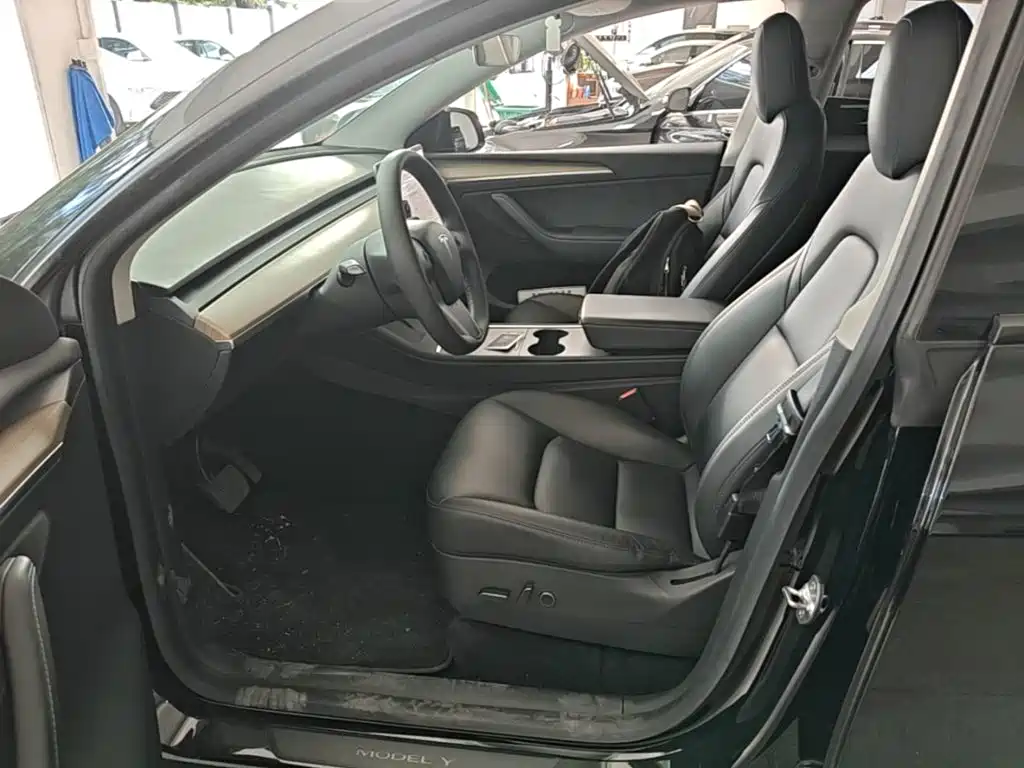 Tesla Model Y — миниатюра 20
