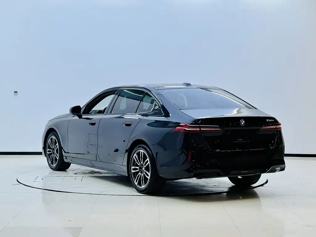 BMW 5 Series — миниатюра 5