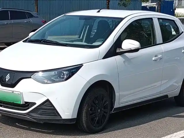 JIANGLING GROUP NEW ENERGY LITTLE UNICORN 2024