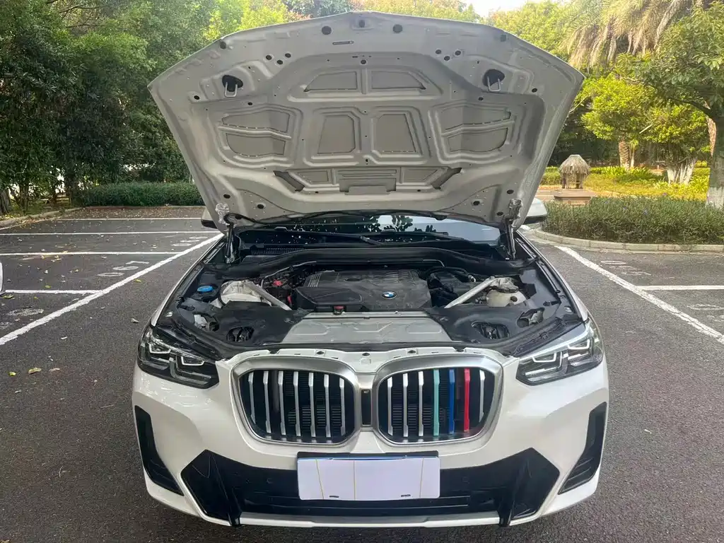 BMW X3 — миниатюра 12