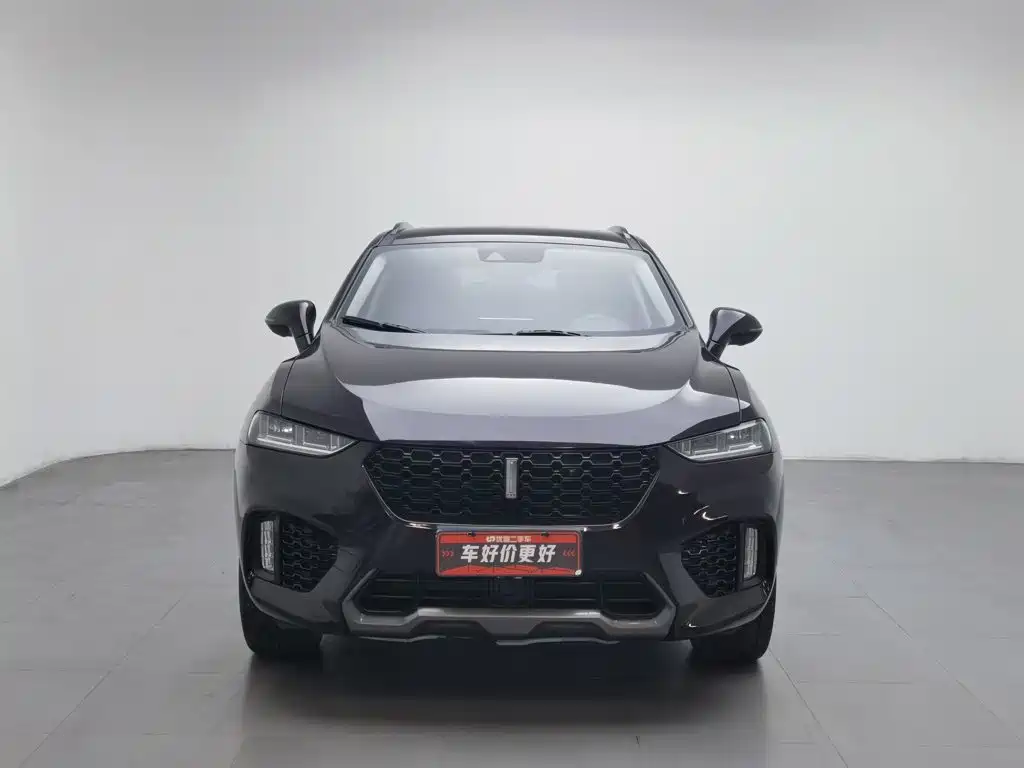 Wey Wey VV7 — миниатюра 3