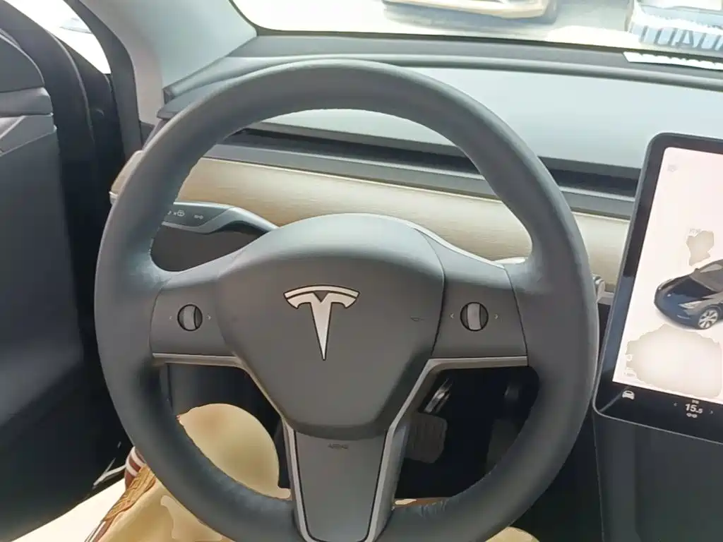 Tesla Model Y — миниатюра 11