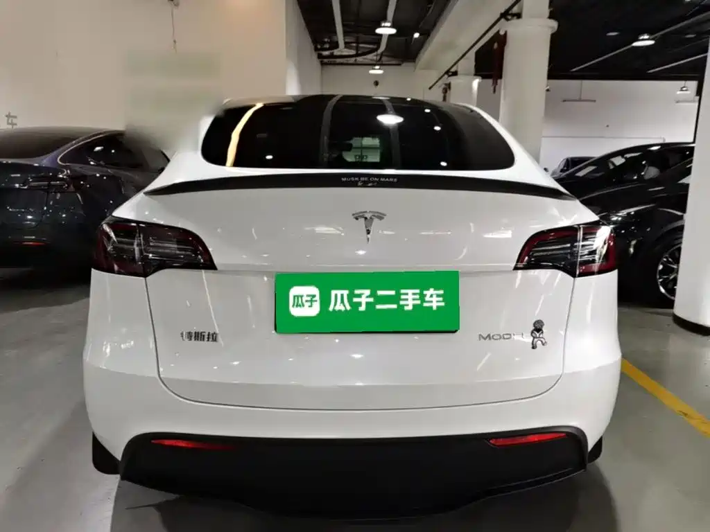Tesla Model Y — миниатюра 6