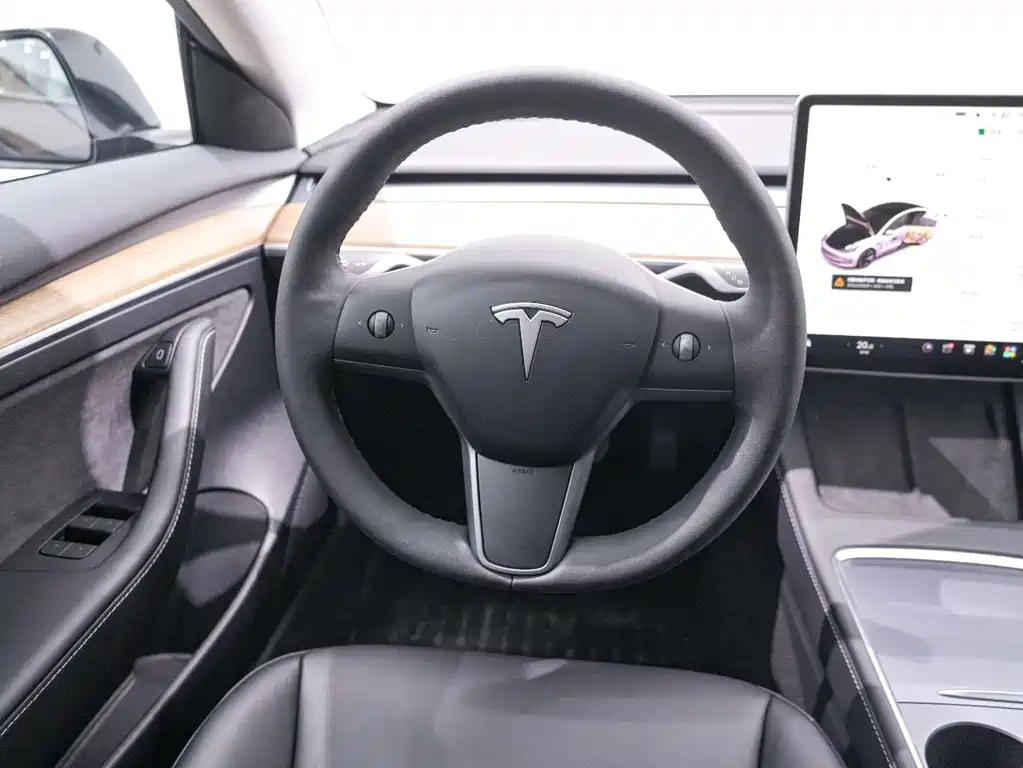 Tesla Model 3 — миниатюра 18