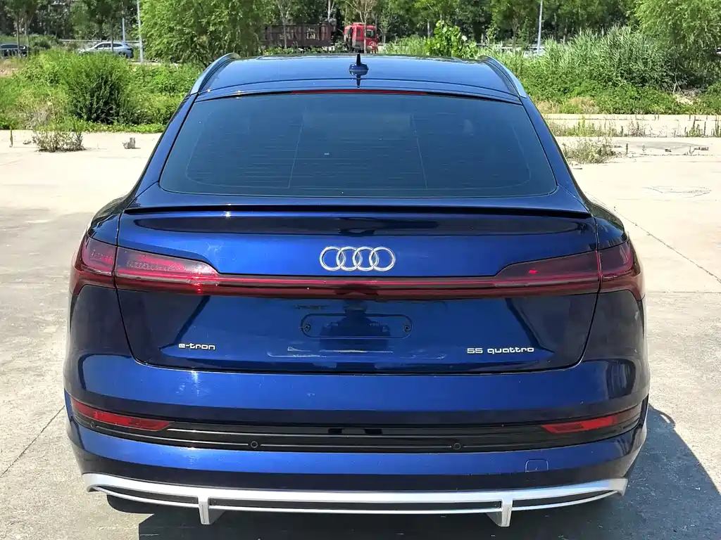 Audi e-tron 2021 Sportback 55 quattro