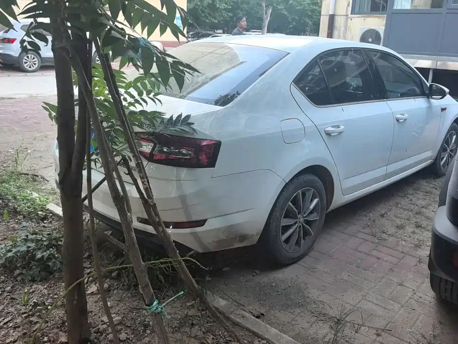 Skoda Octavia — миниатюра 3