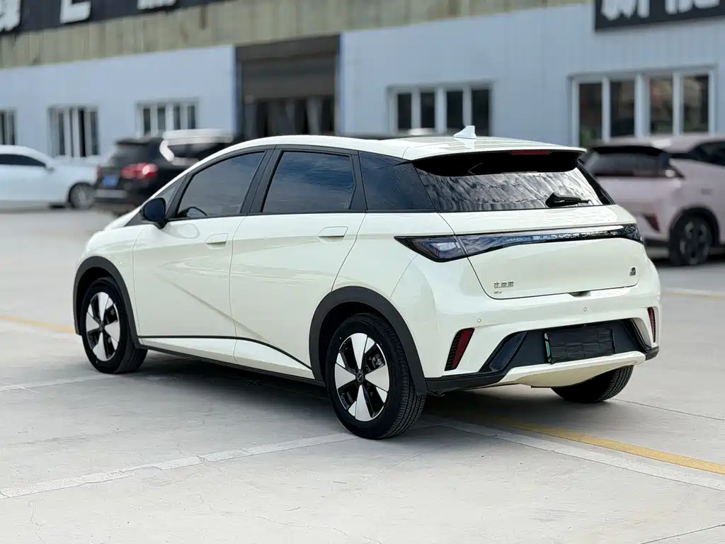 BYD Dolphin — миниатюра 5
