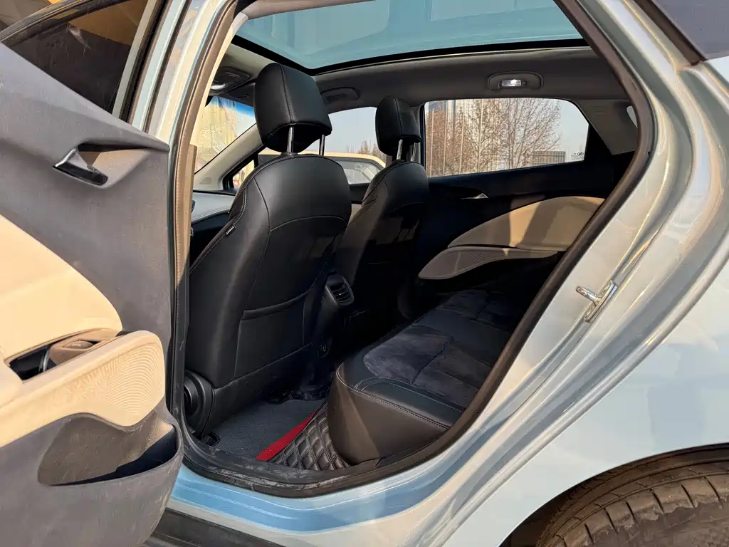 BUICK SLIGHTLY BLUE 6