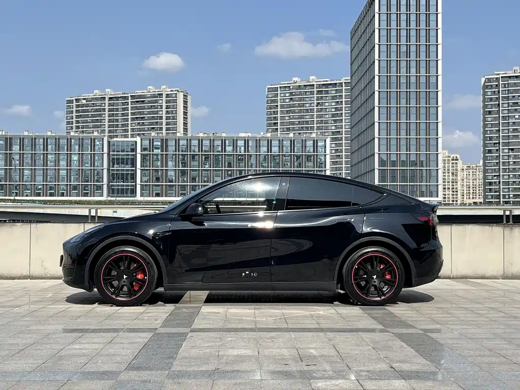 Tesla Model Y — миниатюра 4