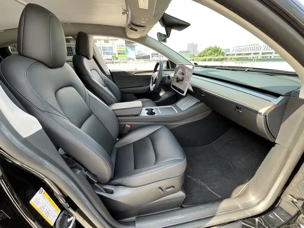 Tesla Model Y — миниатюра 8