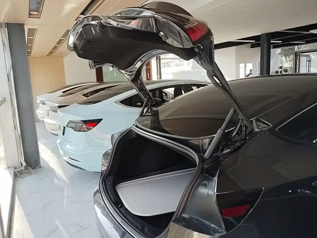 Tesla Model 3 — миниатюра 19