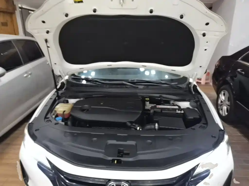 Changan Ruicheng CC — миниатюра 20