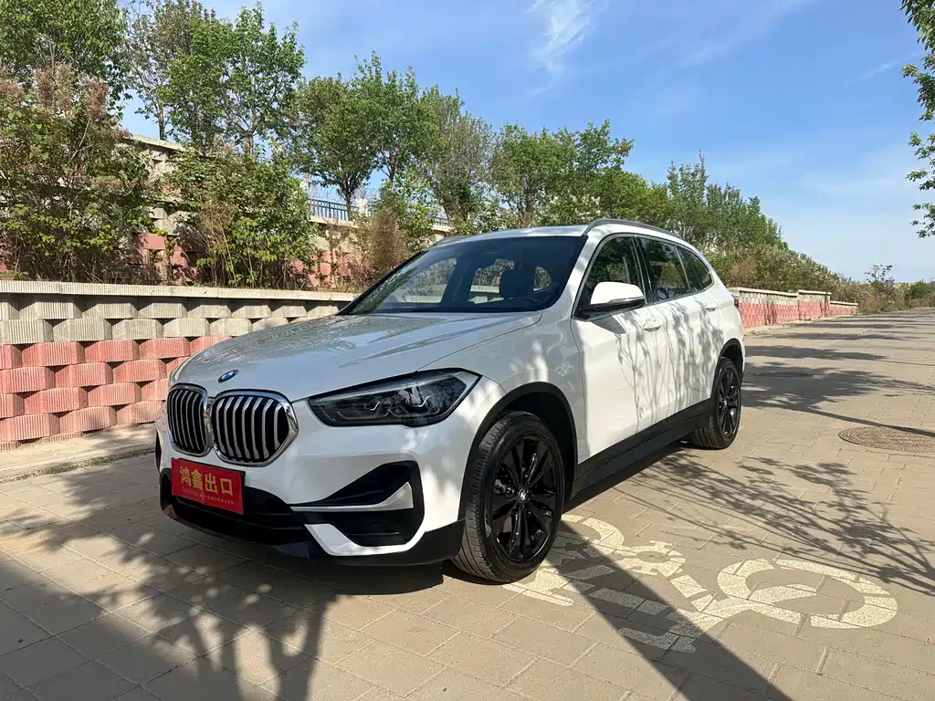 Купить BMW X1