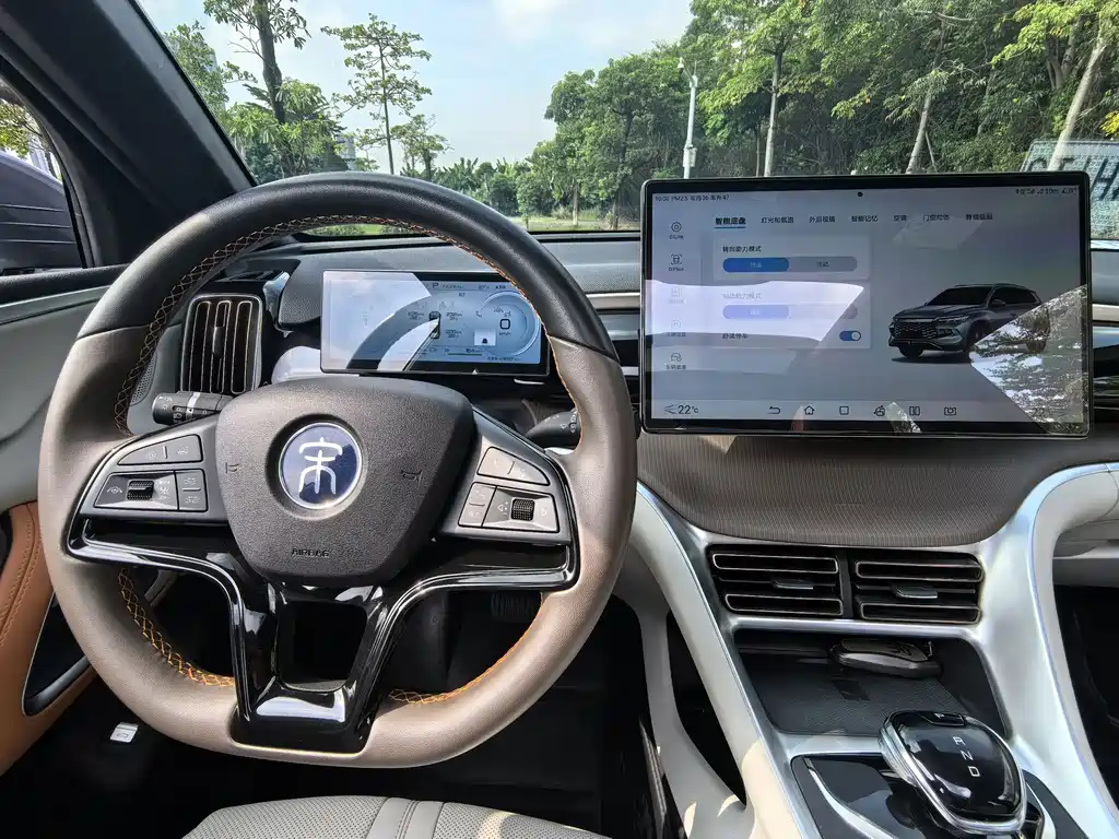 BYD Pro New Energy — миниатюра 15