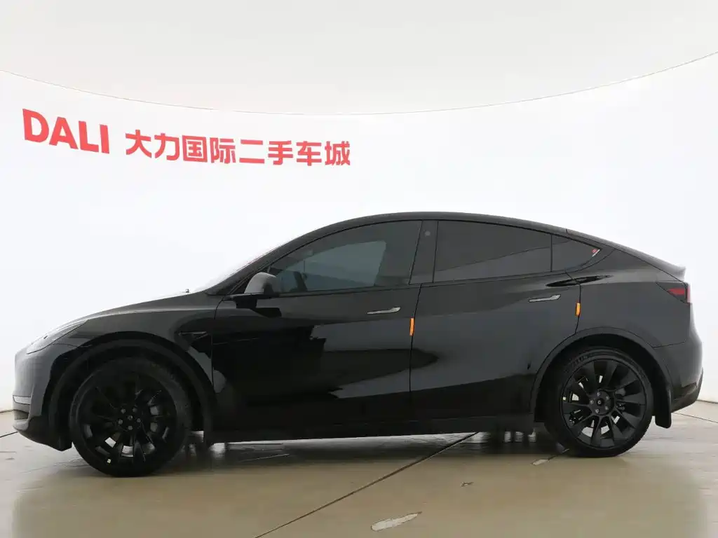 Tesla Model Y — миниатюра 2