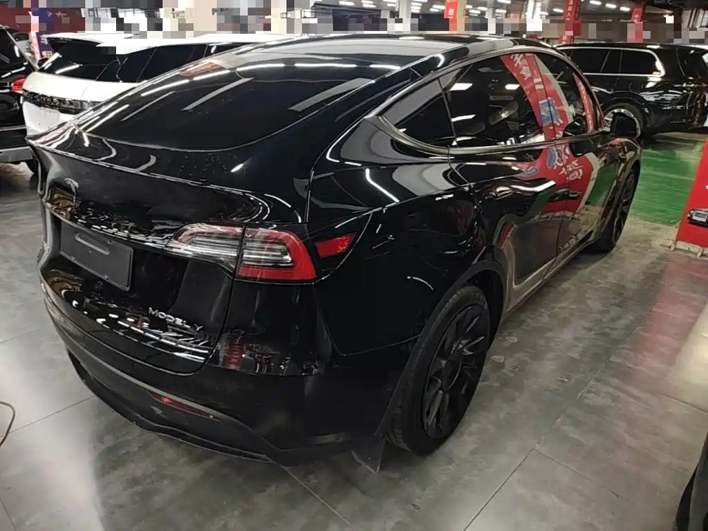 Tesla Model Y — миниатюра 7