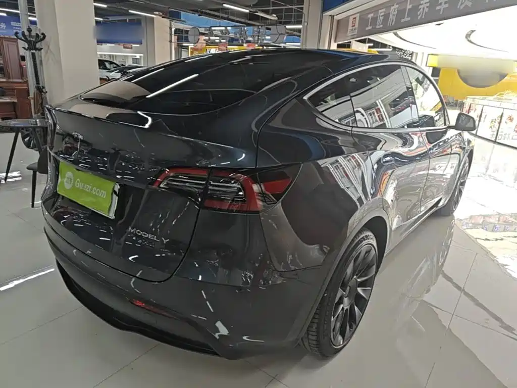 Tesla Model Y — миниатюра 7