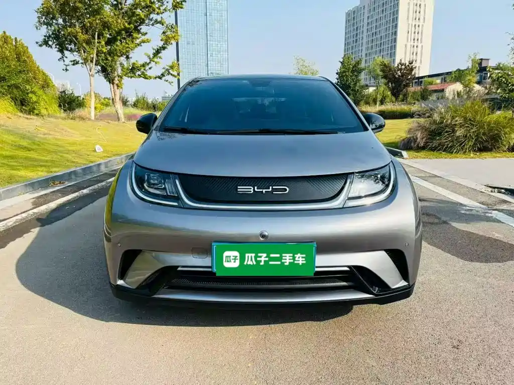 BYD Dolphin — миниатюра 3