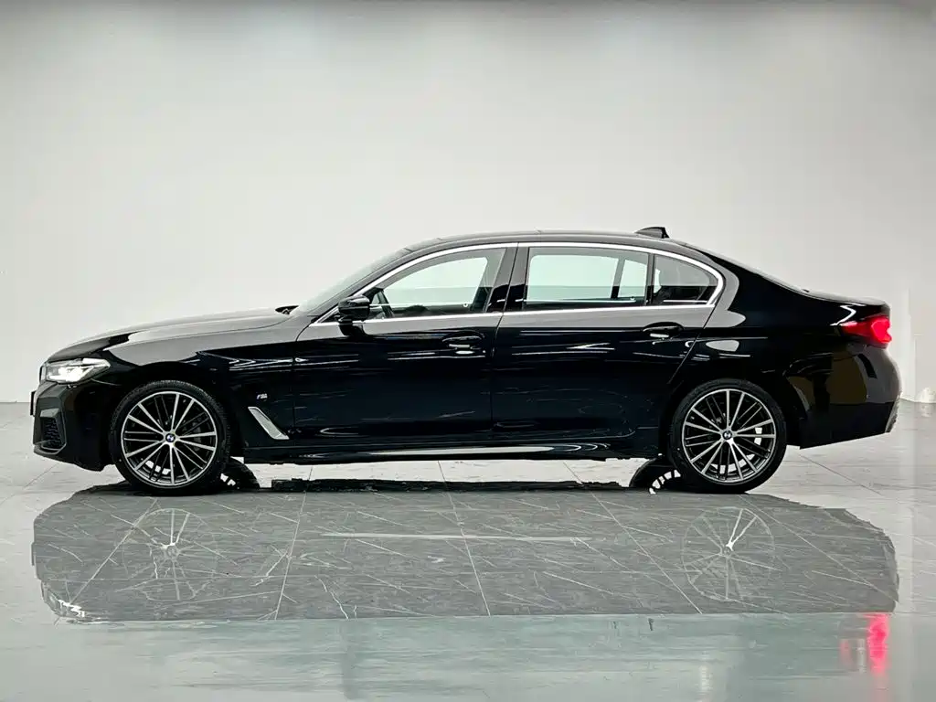 BMW 5 Series — миниатюра 3