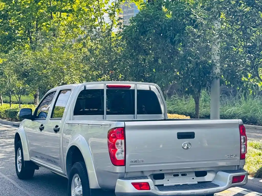 GREAT WALL FENGJUN 5