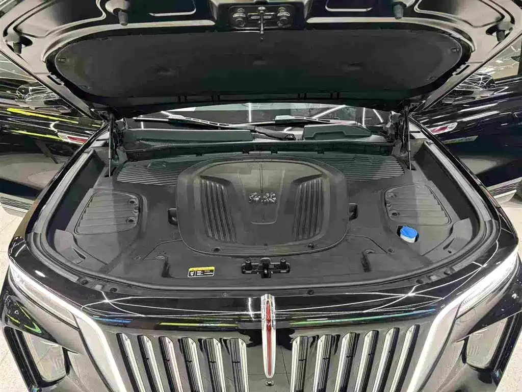 Hongqi Hongqi E-HS9 — миниатюра 35