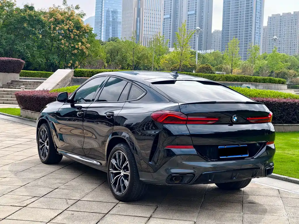 BMW X6 — миниатюра 20