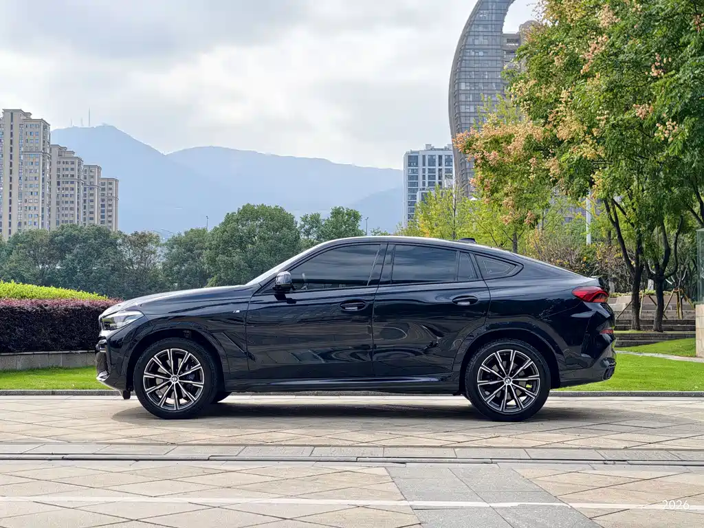 BMW X6 — миниатюра 3