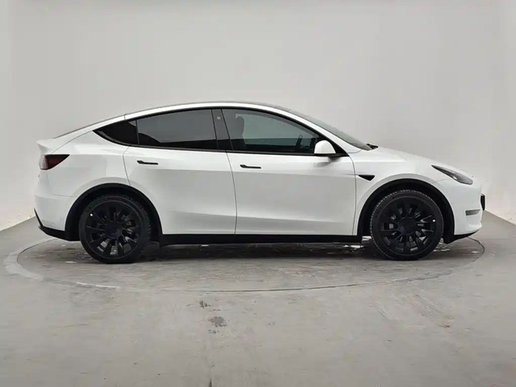 Tesla Model Y — миниатюра 3