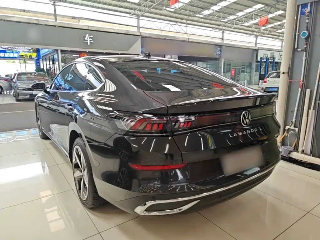 Volkswagen Lamando — миниатюра 5