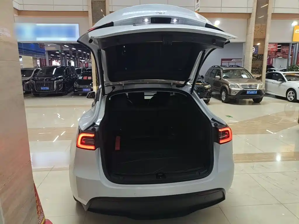 Tesla Model Y — миниатюра 19