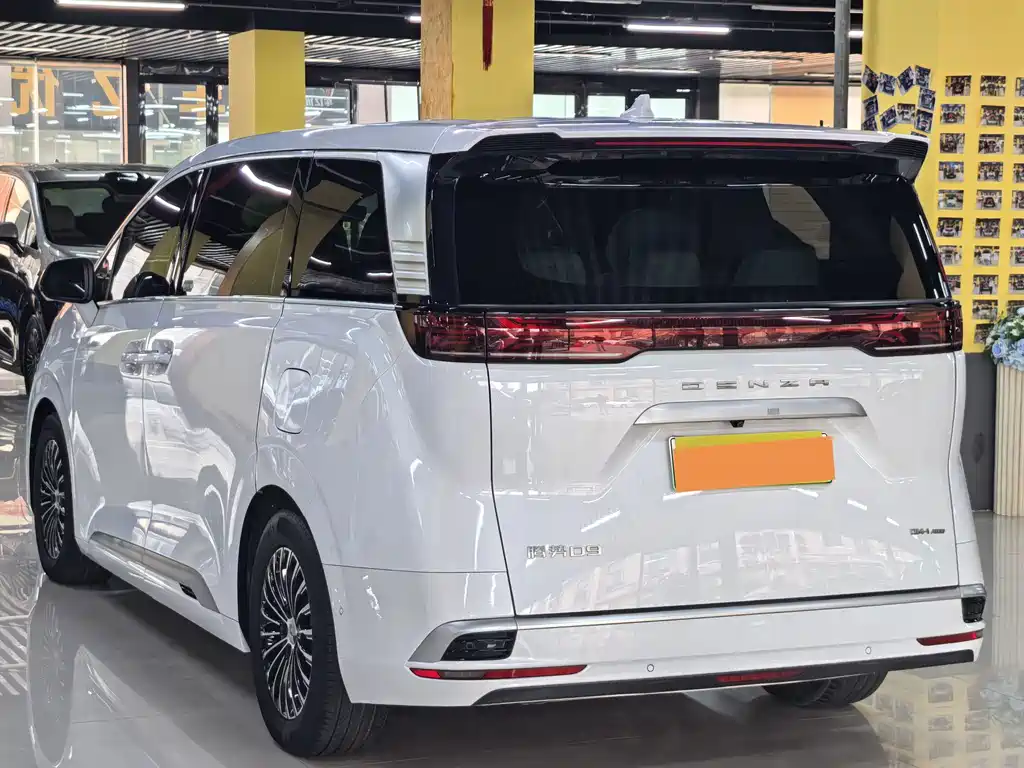 Denza Denza D9 — миниатюра 17