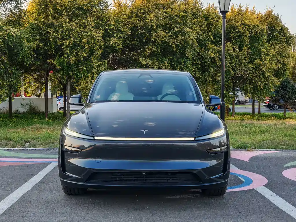 Tesla Model Y — миниатюра 2