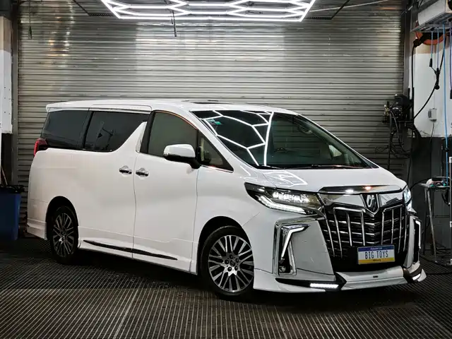 TOYOTA ELFA 2017
