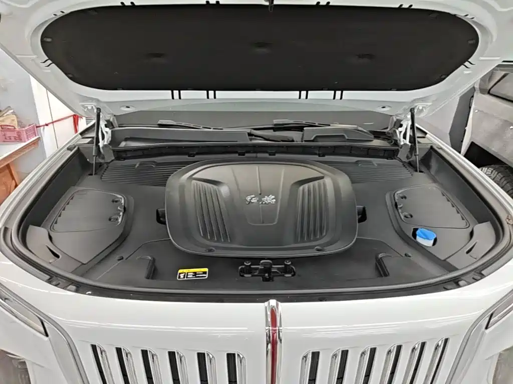 Hongqi Hongqi E-HS9 — миниатюра 20