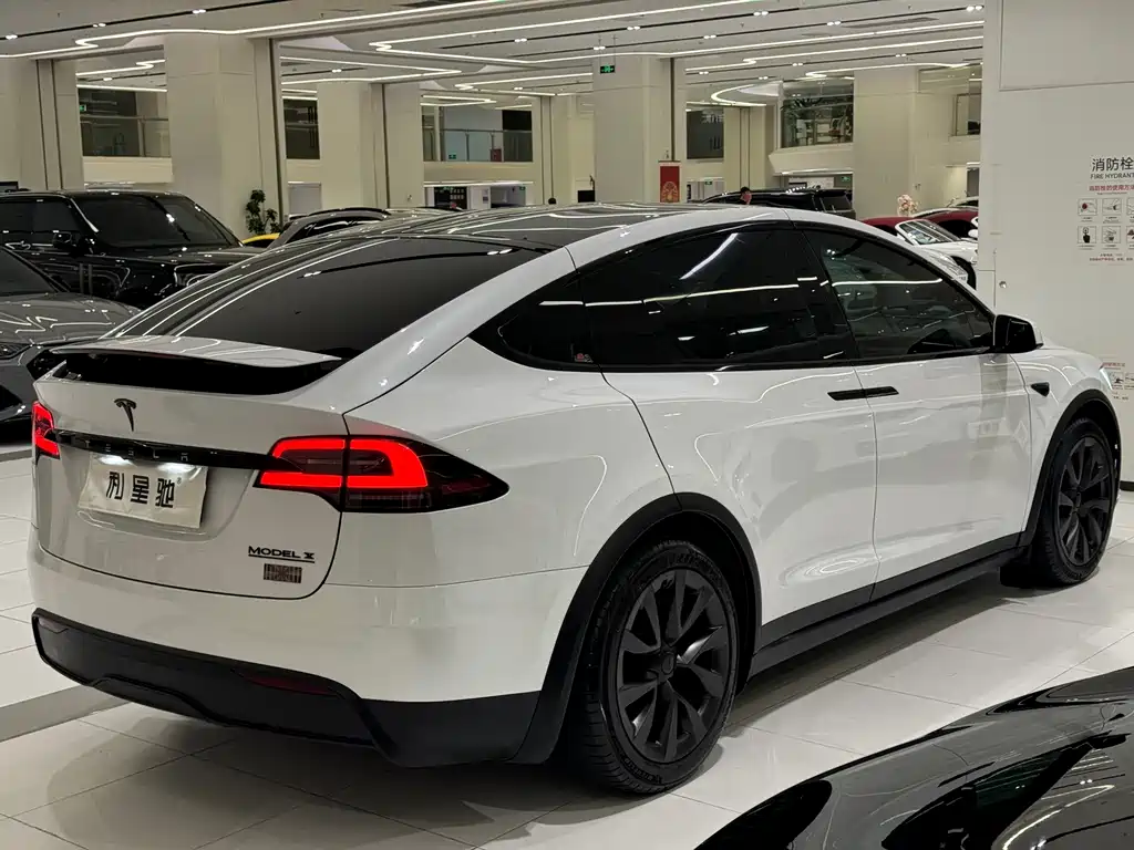Tesla Model X — миниатюра 21