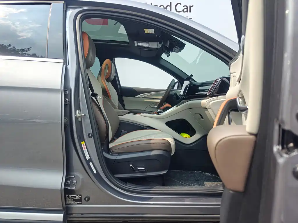 BYD Pro New Energy — миниатюра 19