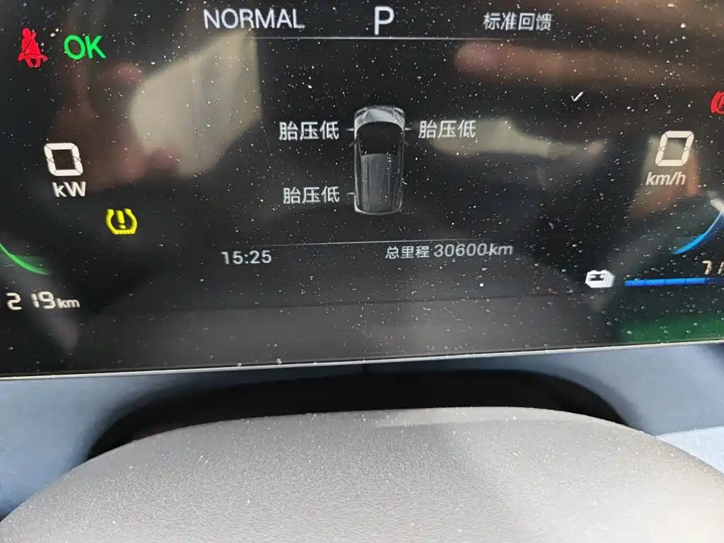 BYD Seagull 2025 305km